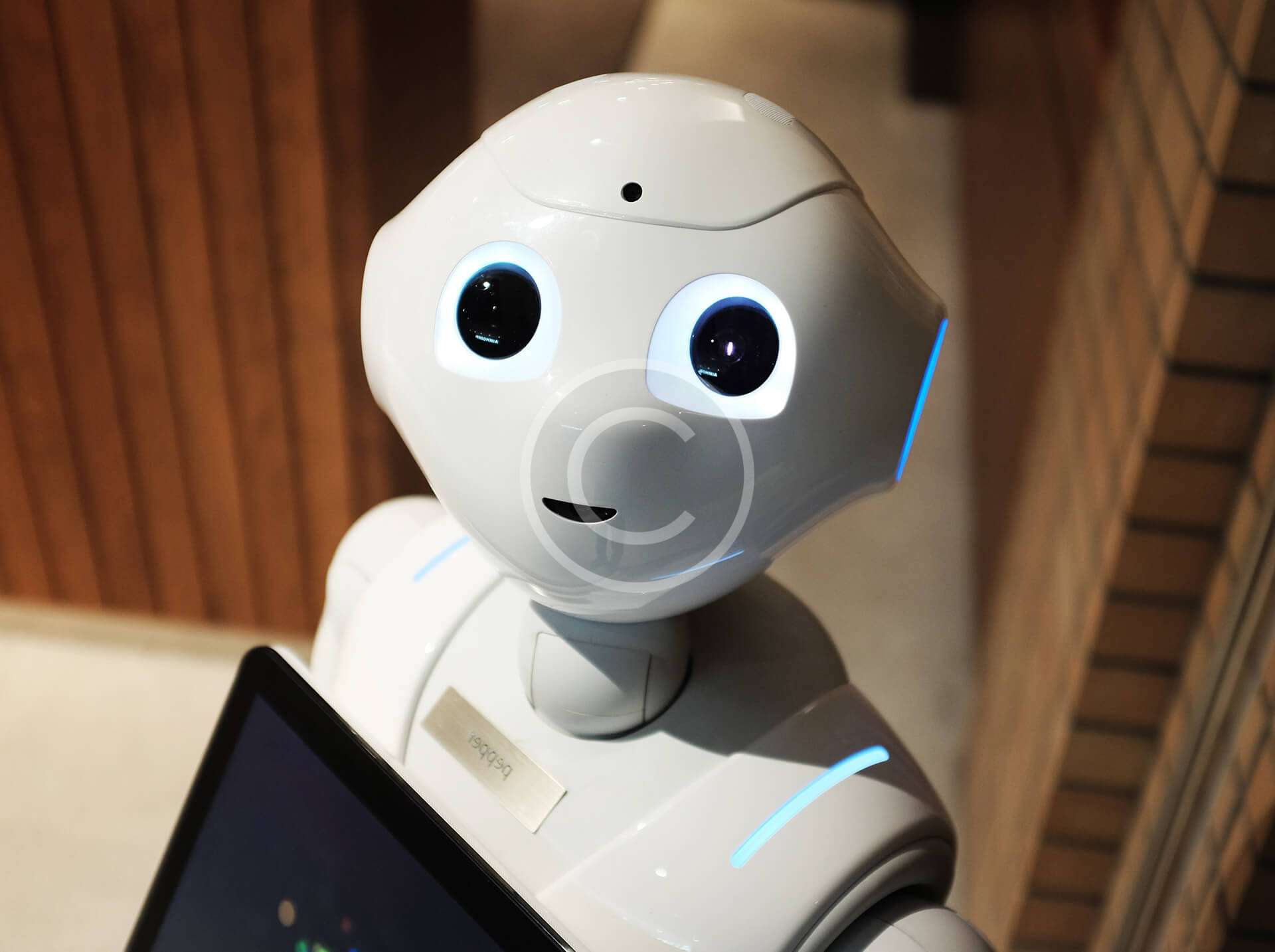 Our vision of a unique in-game item