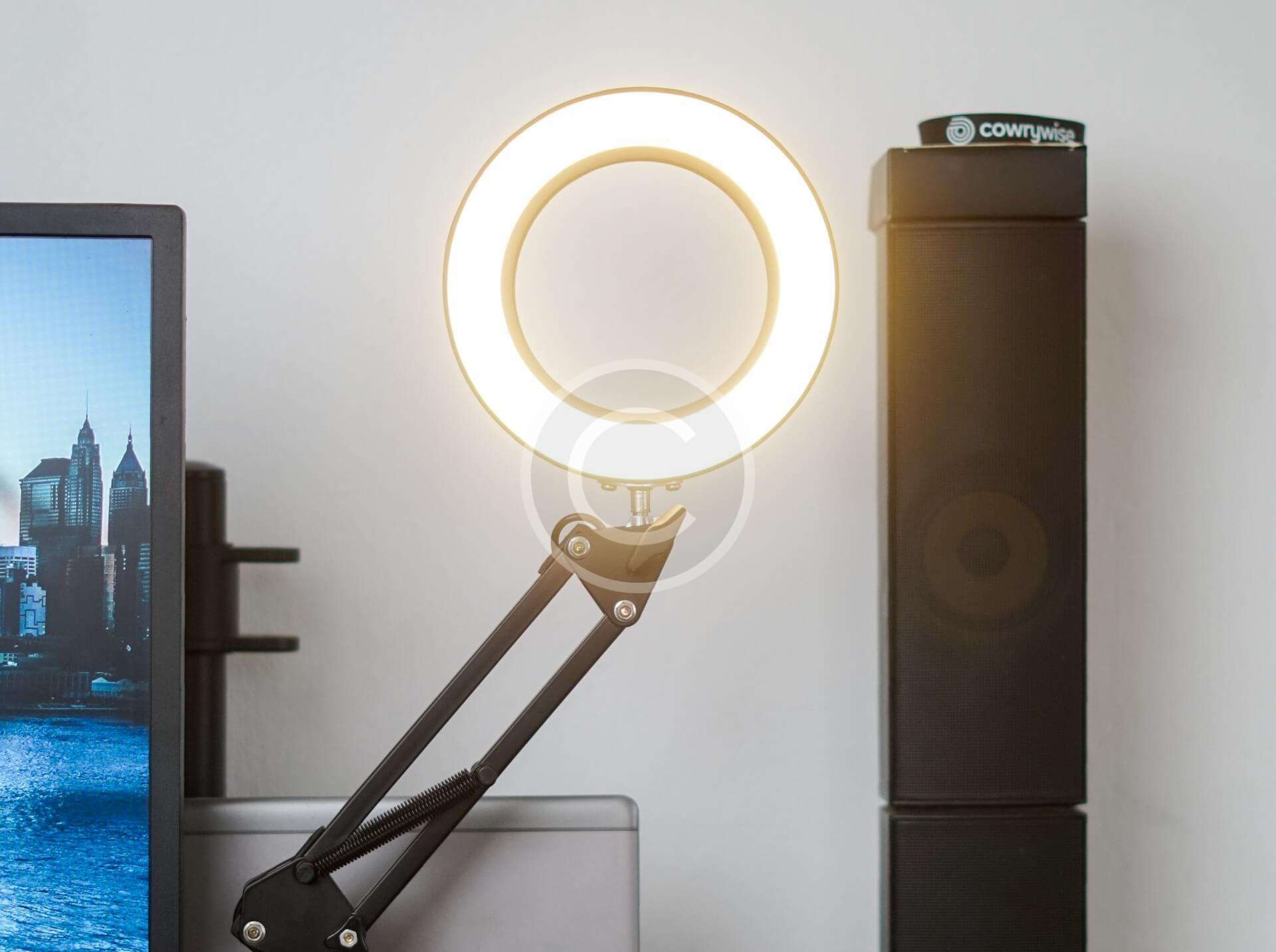 Everything about new social media algorithms